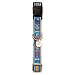 Premier Bark Avenue Quick Snap Dog Collar, Small 3/4-Inch, Bones & Hydrants