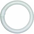 Lights of America 2630b Replacement Bulb for Circleline Adapter