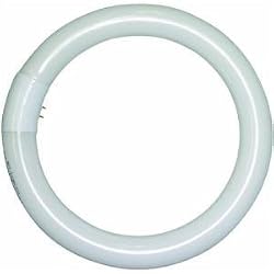 Lights of America 2630b Replacement Bulb for Circleline Adapter