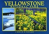 Yellowstone National Park (ID/MT/WY): A Book of 21 Postcards