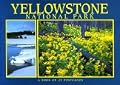 Yellowstone National Park (ID/MT/WY): A Book of 21 Postcards