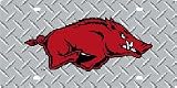 SD04939 Arkansas University Acrylic License Plate