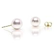 {OnlyOne! FLASH Sale} AAA Japanese Akoya 7.5-8.0mm White Cultured Pearl Stud Earrings (14K Yellow Gold) by HinsonGayle Fine Handpicked Pearls