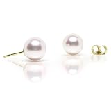 {Today's FLASH Deal} HinsonGayle AAA 7.5-8.0mm White Cultured Japanese Akoya Pearl Stud Earrings (14K Yellow Gold)