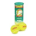 Prince Tour Premium Extra Duty Tennis Balls