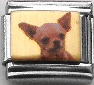 image link - - B000IM1KB8