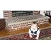 Search Our Specialty Mall : Kids Edge Taupe Hearth Pad, Metal Frame, Up to 92 in.
