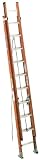 Werner D6216-2 16-Foot 300-Pound Duty Rating Fiberglass Flat D-Rung Extension Ladder