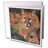 Florene Animals - Florida Rare Panther - Greeting Cards-12 Greeting Cards with envelopes