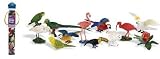 Exotic Birds Toob