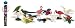 Exotische V�gel Toob