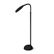 Z&ouml;n Licht Sunlight Floor Lamp (Graphite)