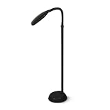 Zön Licht Sunlight Floor Lamp (Graphite)