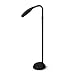 Z&ouml;n Licht Sunlight Floor Lamp (Graphite)