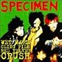 Wet Warm Cling - Film Red Velvet Crush