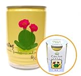 ����ǳڤ�����㤦���֥��ܥƥ�פդ�����