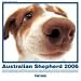 The Dog Australian Shepherd 2006 Calendar (Artlist Collection)