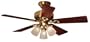 Sea Breeze Antique Brass Hunter Fan - 20460 (Lifetime Warranty, Factory Renewed)