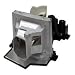 Lamp for Optoma EP7155 and EP1691 projectors