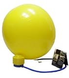 BodySport 65 cm Exercise Ball