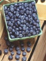 Dried Blueberries 4 oz bag; Blueberries dried at their ripest without any sulphur dioxide.... by DadsJerky.com