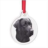Best Friend Black Labrador Ornament
