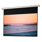 New - Draper Salara/Plug & Play Electric Projection Screen - BG1284