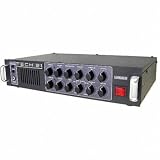 Tech 21 Landmark 300 300W Bass Head