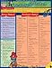 Pirate Birthday Bash (Quick Study Home Reference Guide)