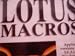 Everything You Need to Know About Lotus Macros