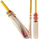 Gray Nicolls Powerbow Atomic Pre-prepared English Willow Cricket Bat Light (2lb 8 to 2lb 9)