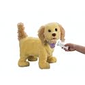 Puppy Grows and Knows Your Name Retriever