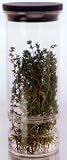 Progressive Herb Keeper 10-in.