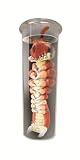 Tet Tube Aliens Electronic Evil Alien VakoIMAGE