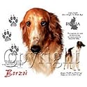 Borzoi Adult T-Shirt