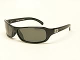 Bolle Sunglasses Fang Shiny Black Frame with Polarized TNS Lenses