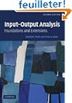 Input-Output Analysis: Foundations an...