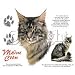 Maine Coon Cat Adult T-Shirt