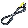 Canon Video Cable VC-100 for Digital Cameras
