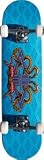 Powell Celtic Dragon #2 Skateboard Birch - 7.5