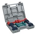 Bodymax 12Kg Vinyl Dumbell Set