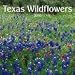 Texas Wildflowers 2010 Wall Calendar