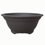 常滑焼 サツキ鉢 ウ泥 10号 5個入り ／植木鉢