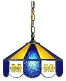 Michigan Wolverines 14 Swag Hanging Lamp
