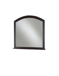 Pegasus 30 in. H x 32 in. W Framed Wall Mirror in Espresso