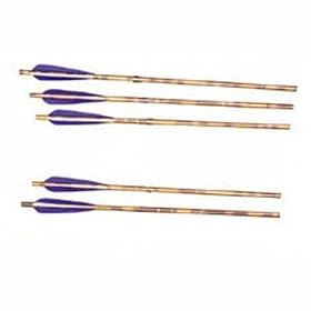 Type Carbon Size 20 Barnett Arrows