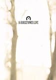 16 Horsepower - Live [DVD] [2006] [Region 1] [US Import] [NTSC]
