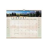 2008 Open Plan Landscape Scenes Monthly Wall Calendar, Spiralbound, 12 x 12 (VIO88200)