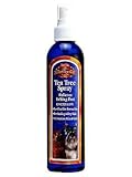J[fBi eB[g[Xv[ 237ml