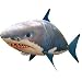 Air Ranger Remote Control Inflatable Flying Swimmer Shark